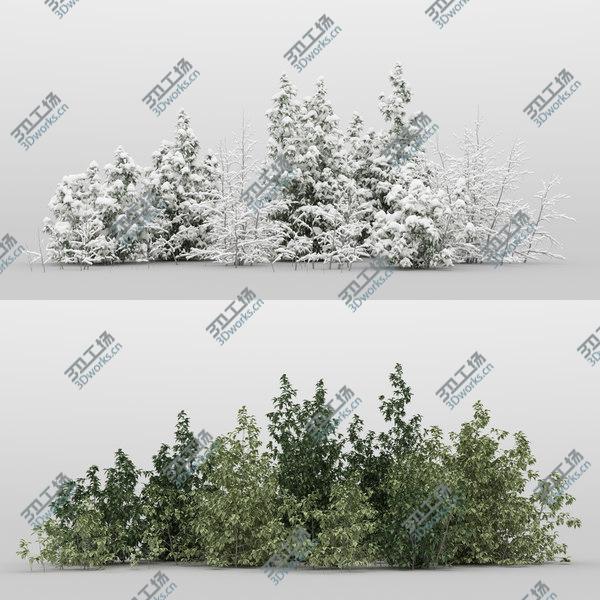images/goods_img/20210312/10plus10 Forest Bush/1.jpg